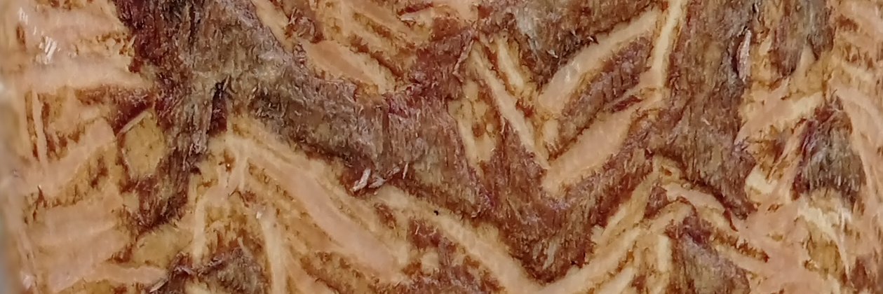 GentleJunk's profile banner image