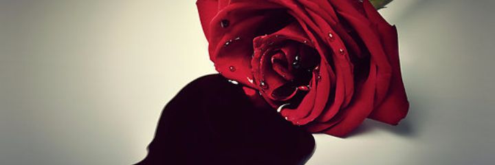 Oh banner