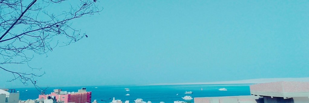 sms_137's profile banner image