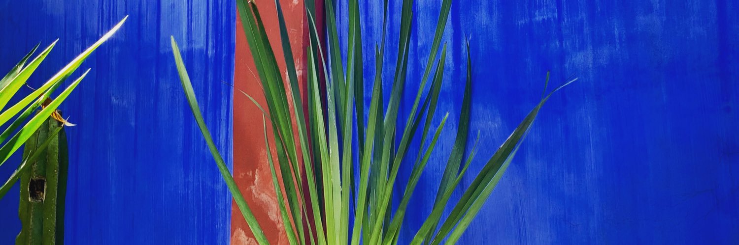 b_peery's profile banner image