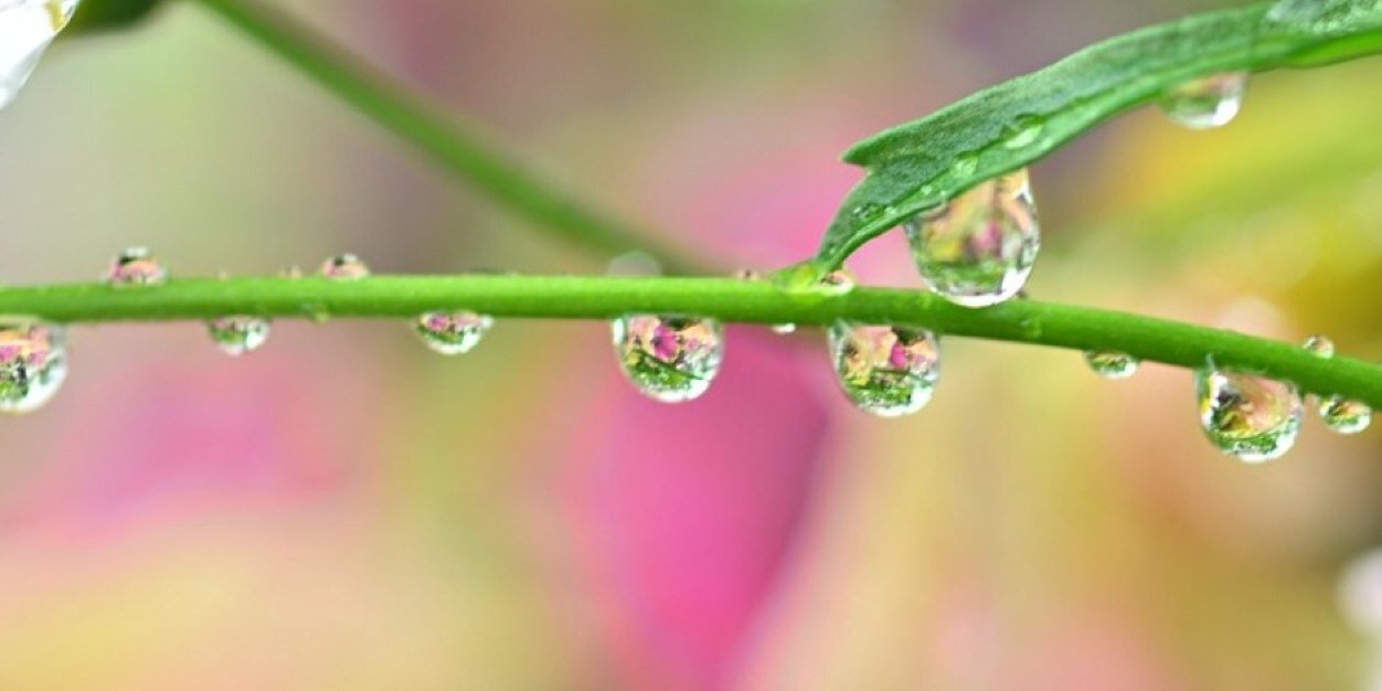 CathyWi22207335's profile banner image