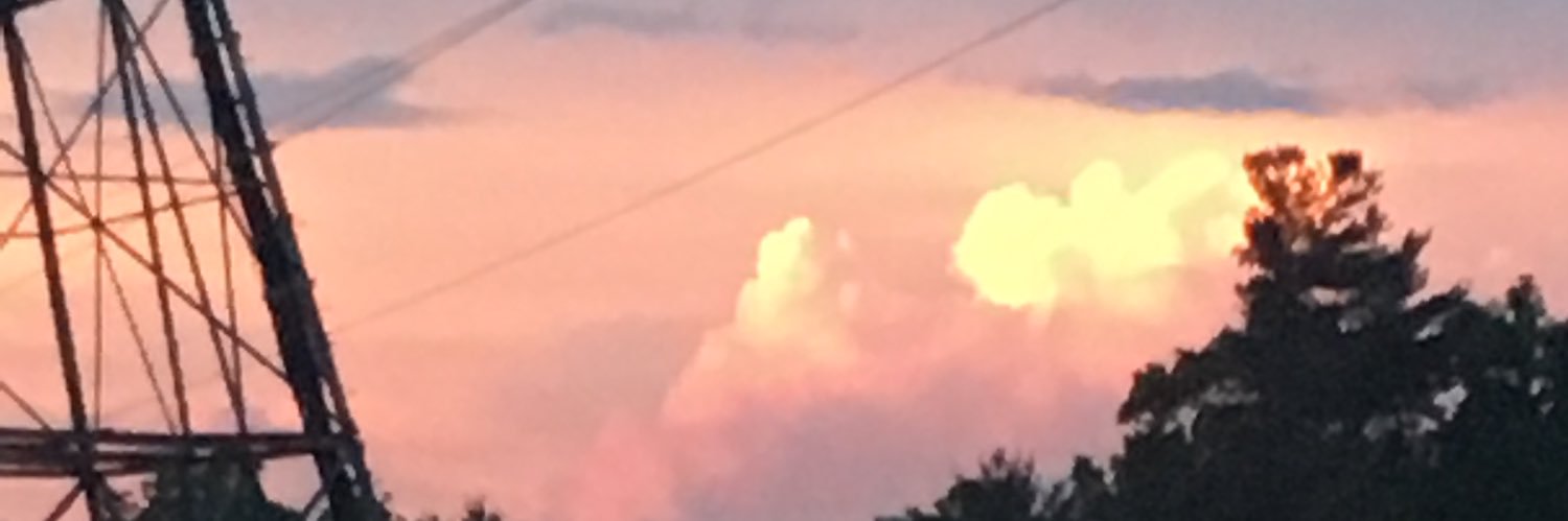 MeganCurrey_'s profile banner image