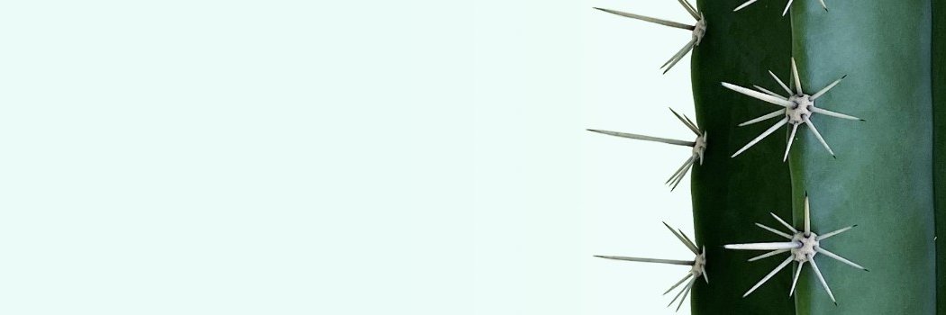 James Robinson banner