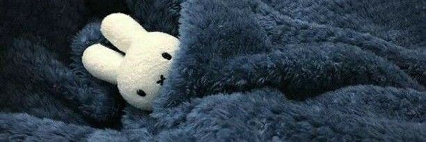 vale_huening's profile banner image