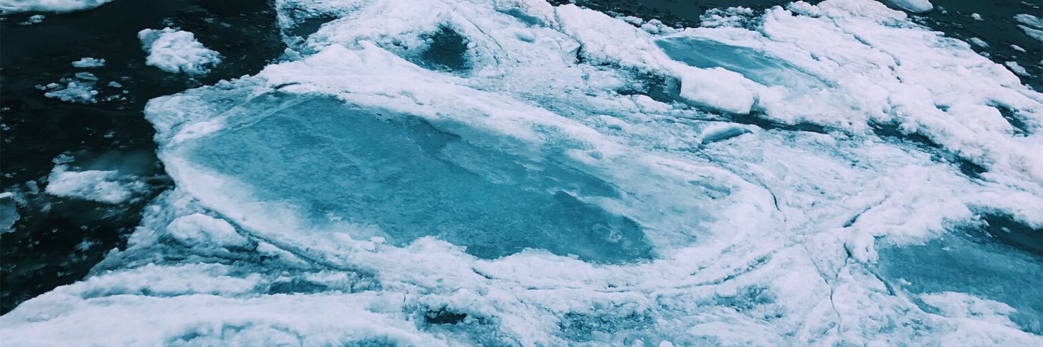TaylorLinell1's profile banner image