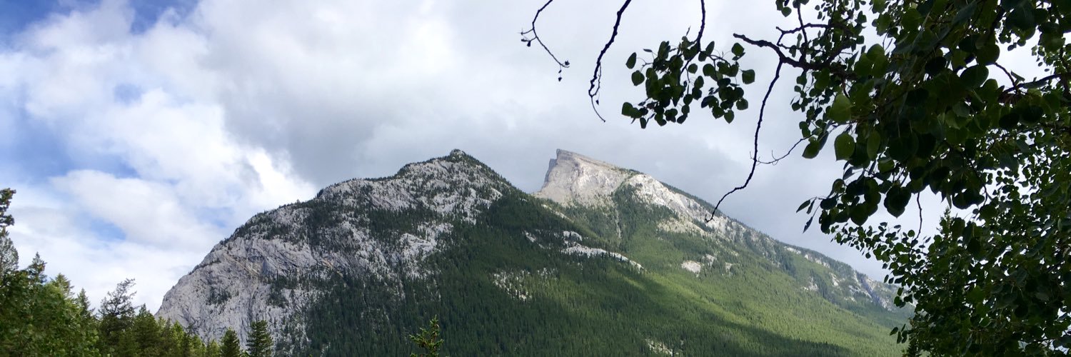 MatthewLadzik's profile banner image