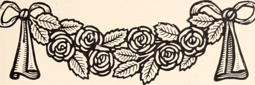 Eleanor Koehl banner