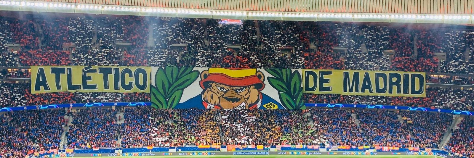 MarioAzabal's profile banner image