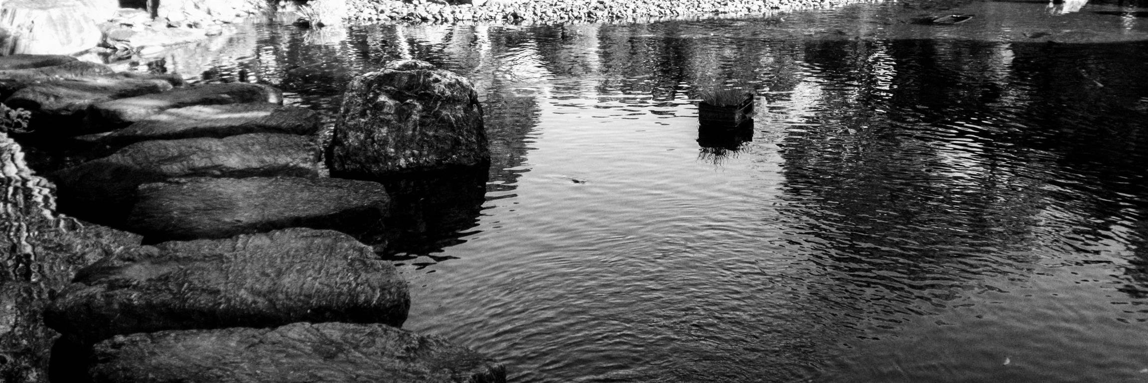 真澄 ～masmi～ banner