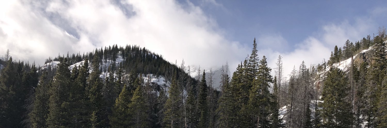 mackenziehennes's profile banner image