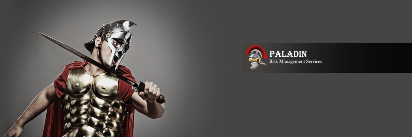 Paladin Risk banner