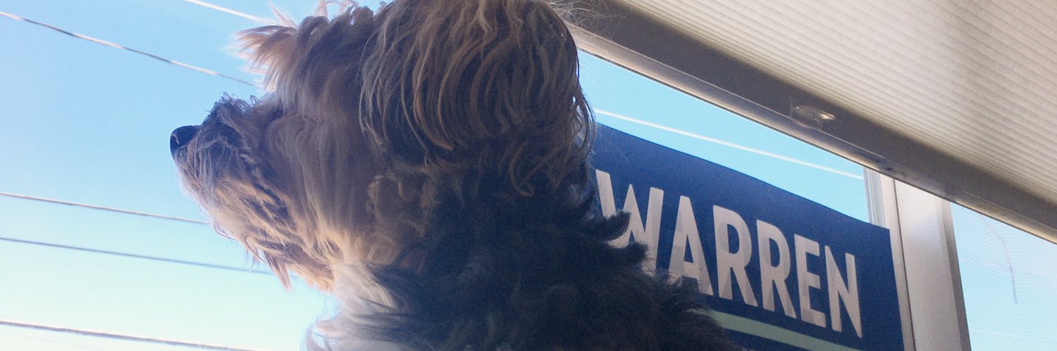 beebesharkey's profile banner image