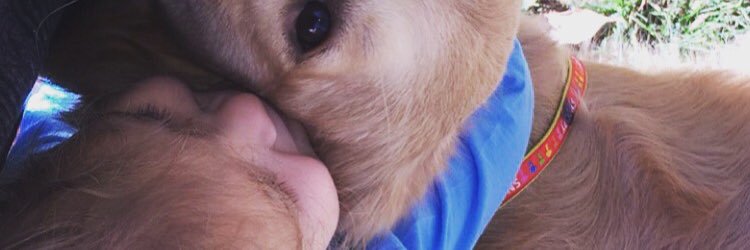 jessdigsit's profile banner image