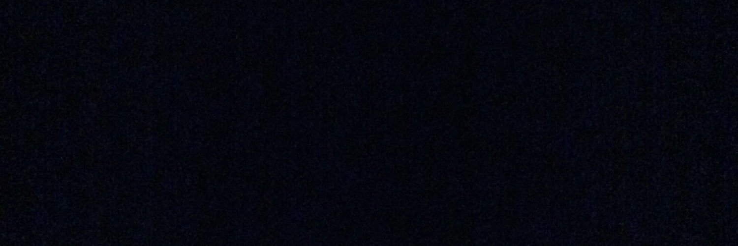SashaRL4's profile banner image