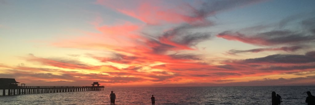 LyssMarie16's profile banner image