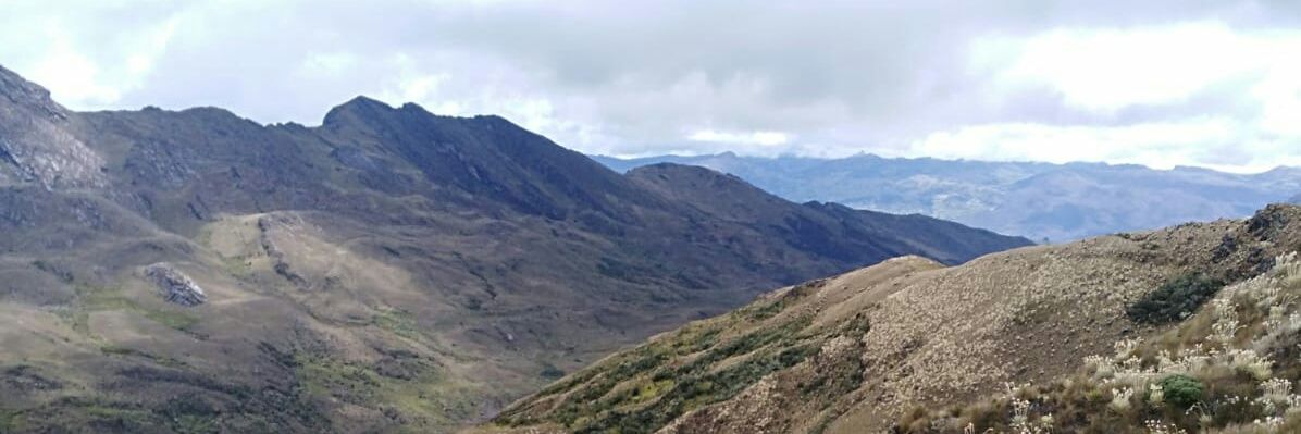 UnoAvila's profile banner image