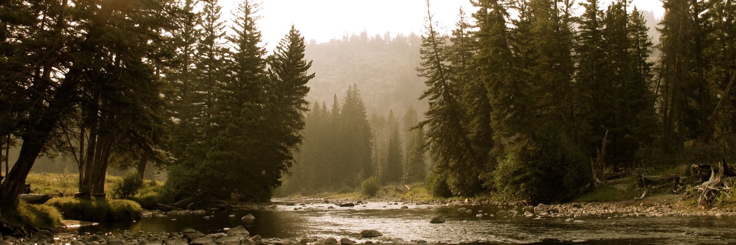 NomadAnglers's profile banner image