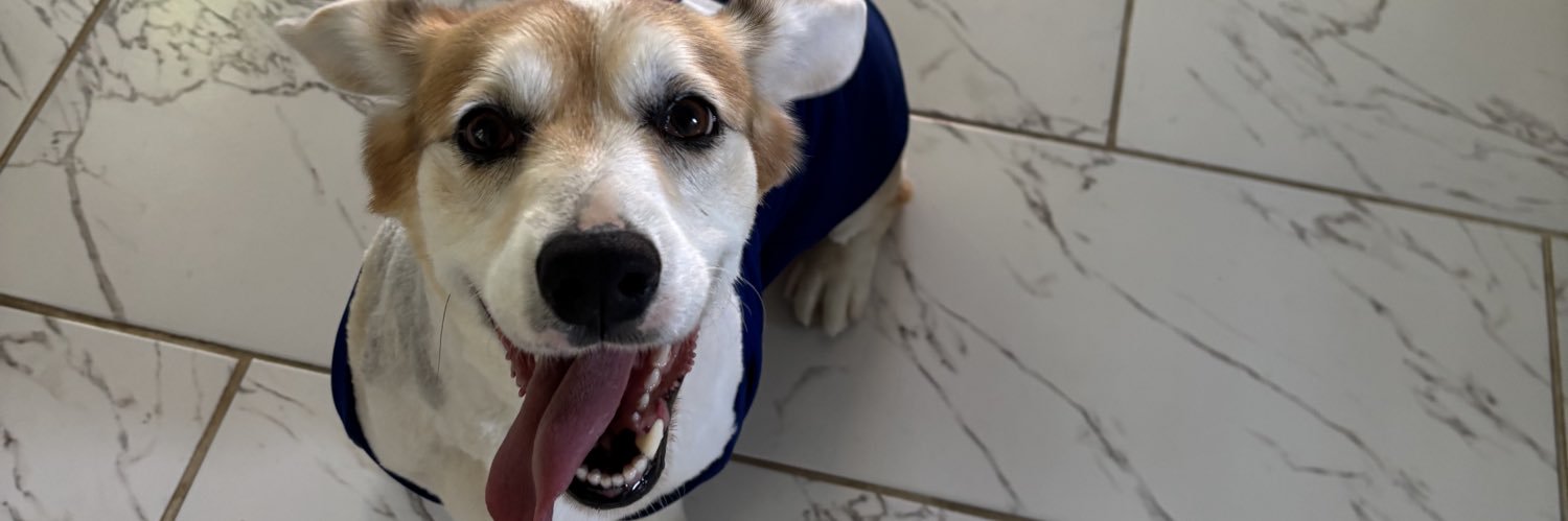 rodriguezabby_'s profile banner image