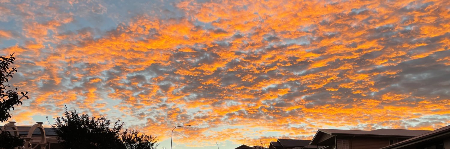 Julie Webster banner