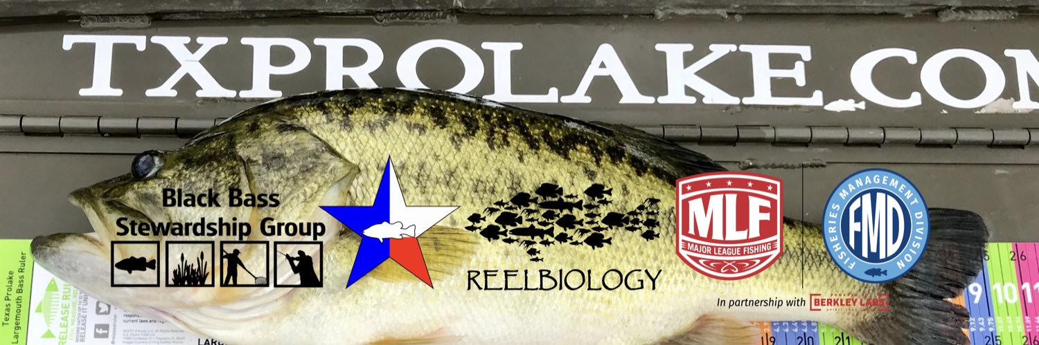 txprolake's profile banner image