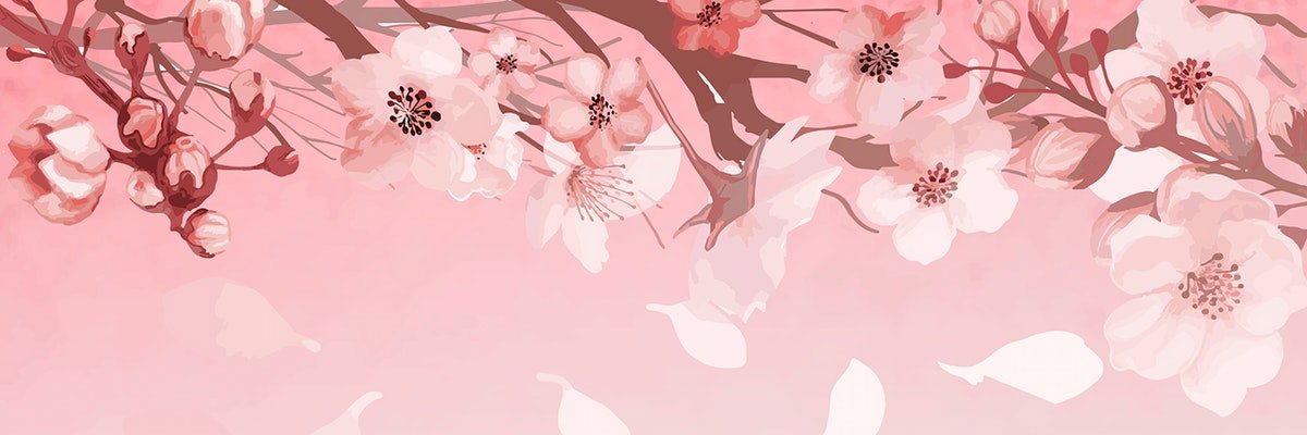 softriver's profile banner image