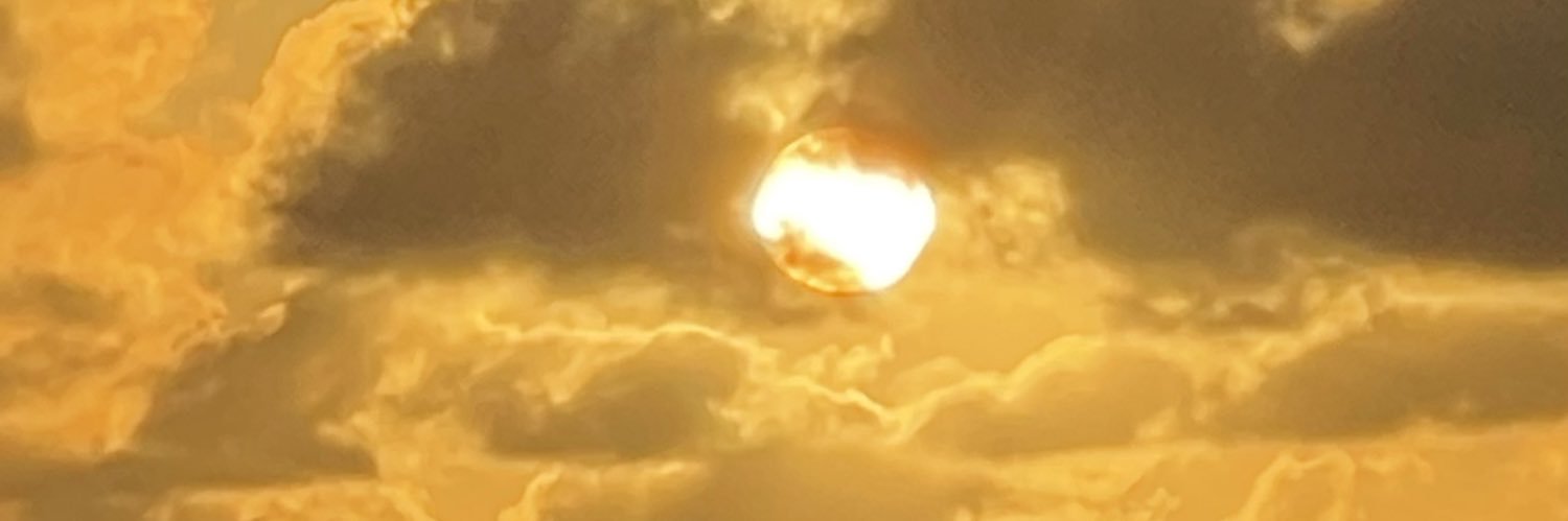 rozestrahm's profile banner image