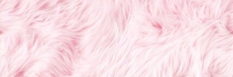 ciarakimberlin's profile banner image