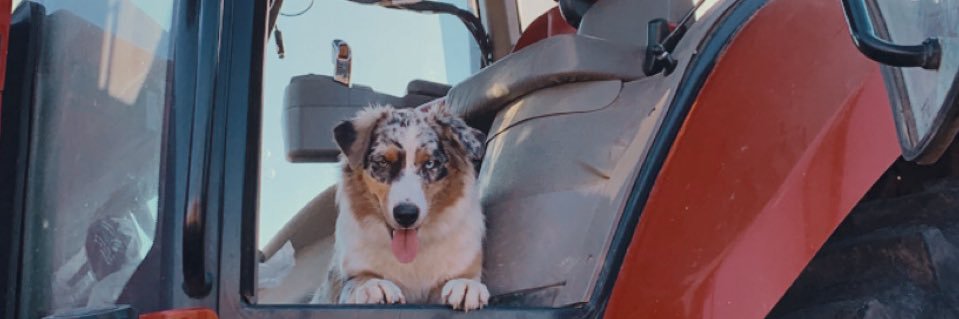 AshtynDanker's profile banner image