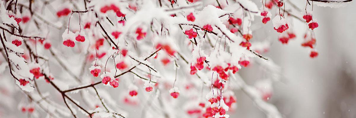 MoreAlejandra4's profile banner image