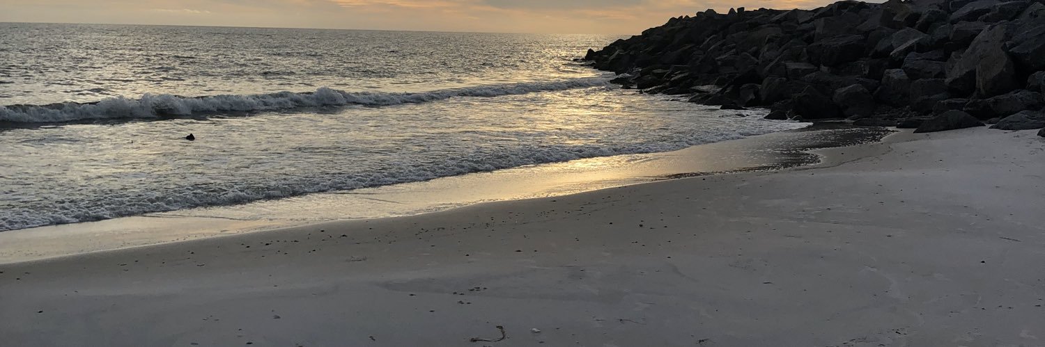 rolowe44's profile banner image