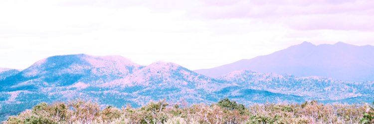 42guri's profile banner image