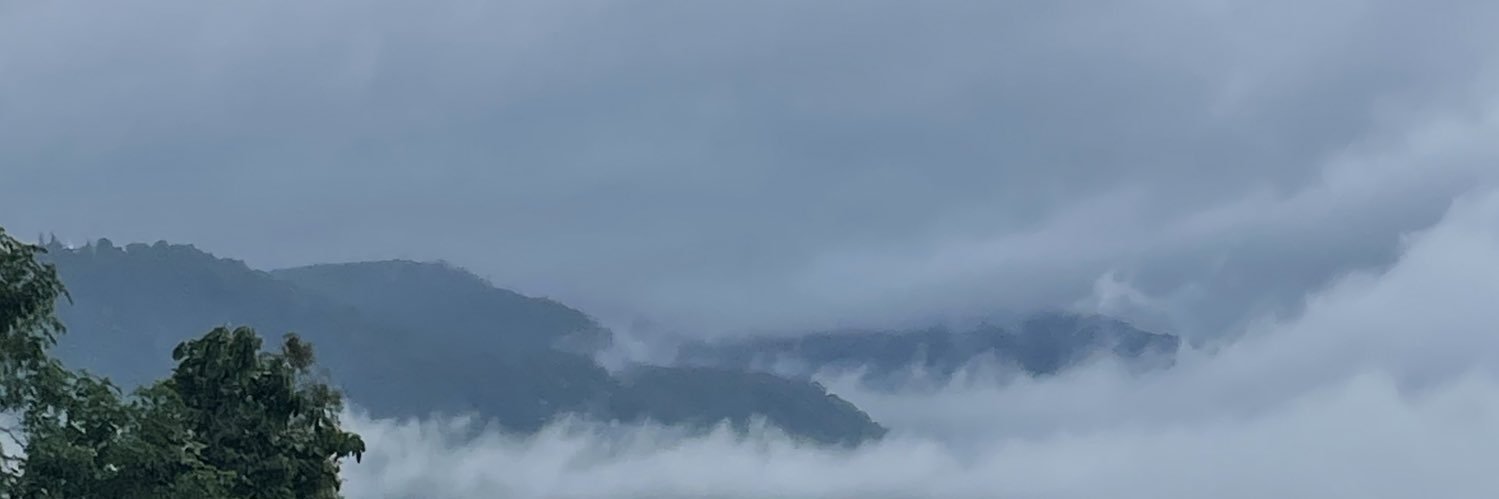 ttaxmur's profile banner image