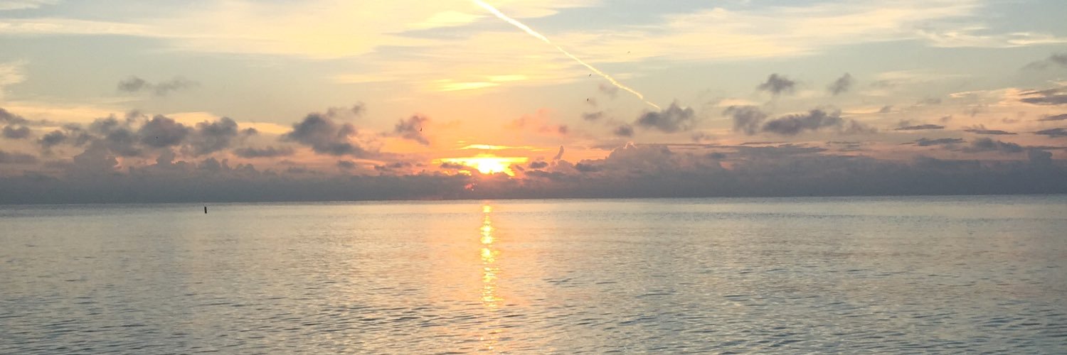 CristaLeaCooper's profile banner image