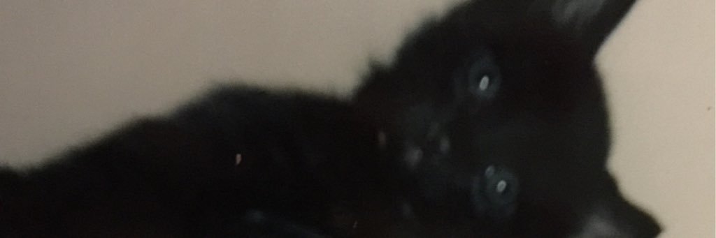 kumaneteru's profile banner image