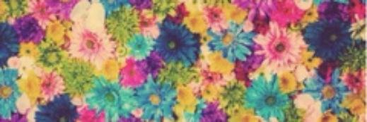 GianeCastillo's profile banner image