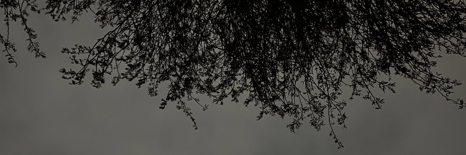 ree66x's profile banner image