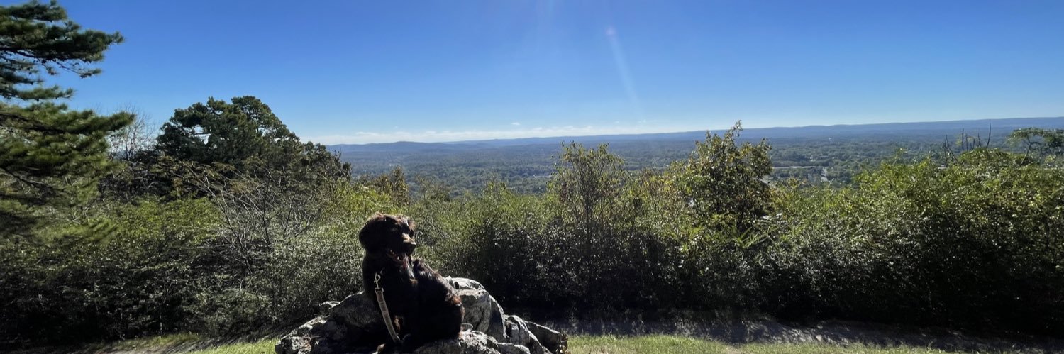 cjlaiche's profile banner image