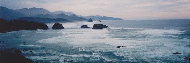 Panica banner
