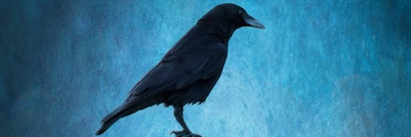 owenhabel2 Profile Banner