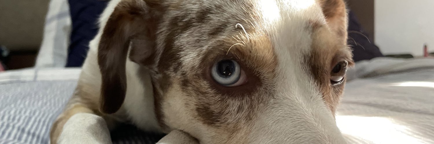 KevinCerdaMx's profile banner image
