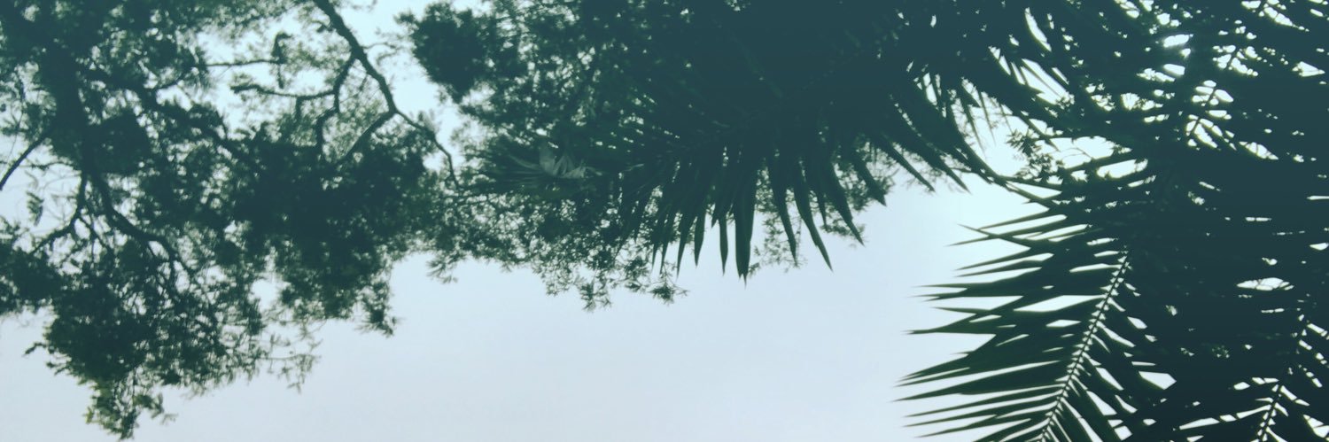 AdeeEmii's profile banner image