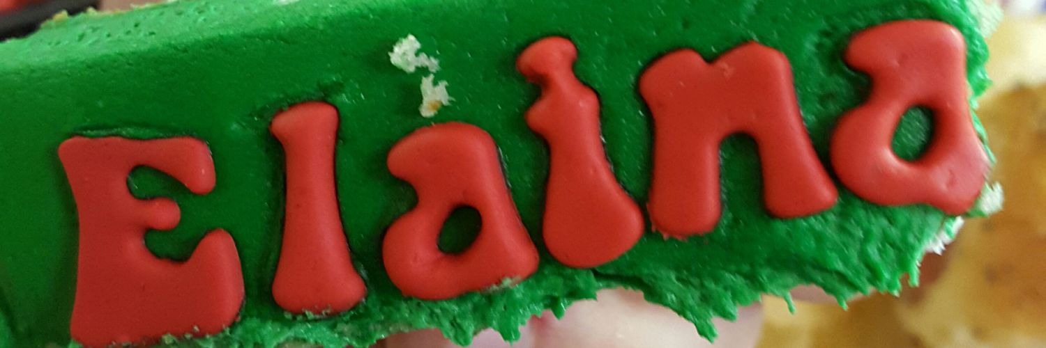 elainaamw13's profile banner image