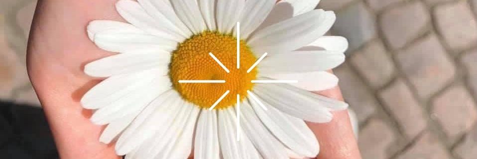 Souad Al-Azzawi.PhD banner