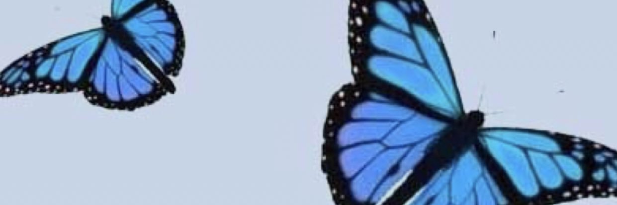 BrookShepherd's profile banner image