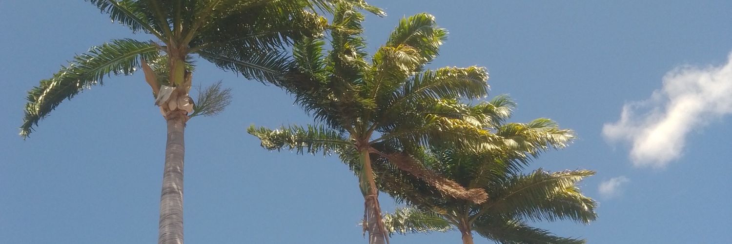 rubensSEG's profile banner image