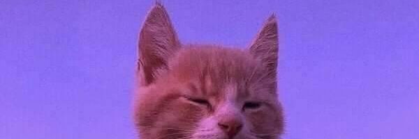 lualmotta's profile banner image