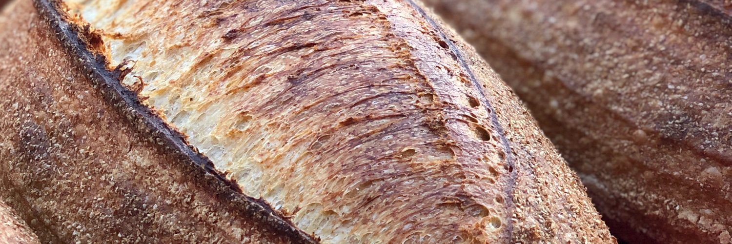 Michael james banner