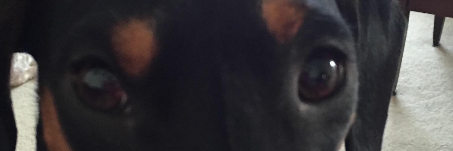 rsk514's profile banner image