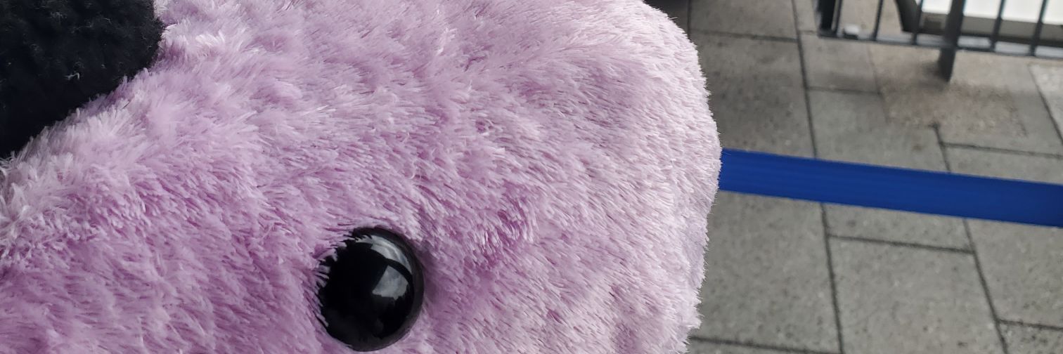 KfcQed's profile banner image