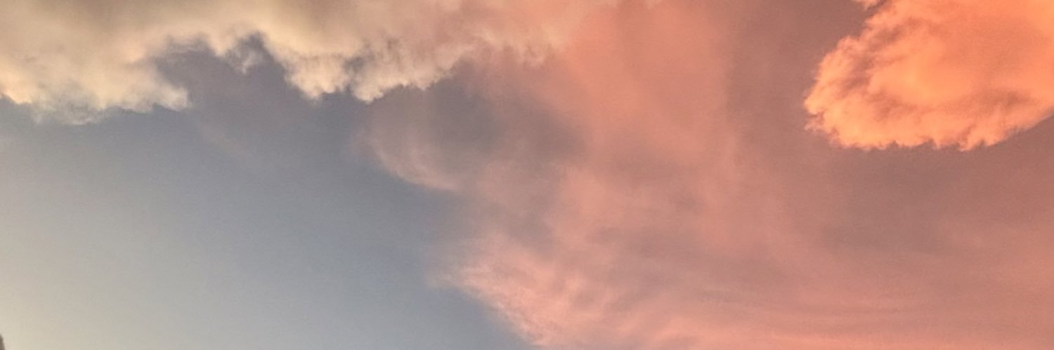 MammyDiver's profile banner image